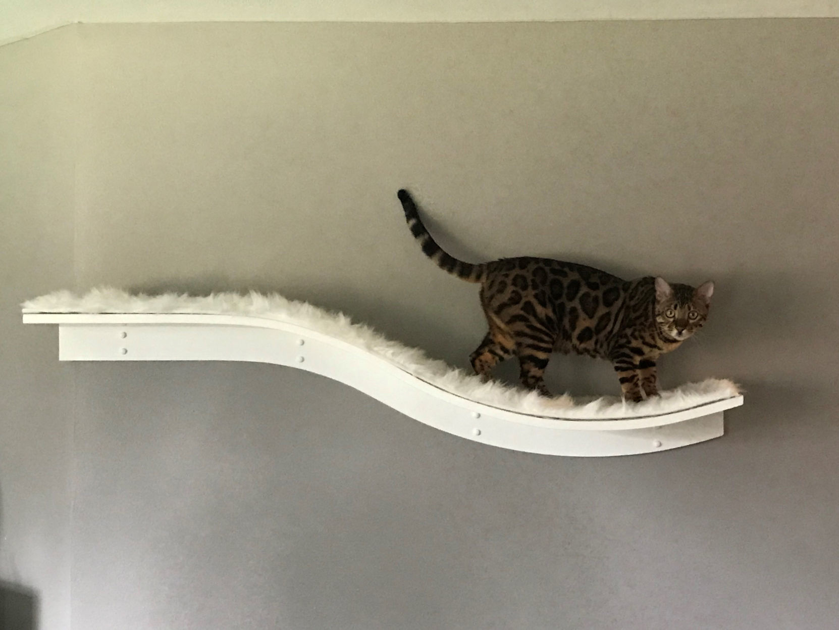Pet furniture has come a long way from teal carpeted cat towers and lumpy plaid dog beds